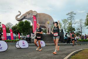 BIB: 
                            <button type="button" onclick="openModal(26529019)" class="btn btn-primary btn-sm float-right btn-popup" data-toggle="modal" data-target=".modal-high-quality">
                        <i class="fas fa-shopping-cart"></i> Add to Cart
                    </button>
                                            <button type="button" onclick="isThisMe(26529019, true)" class="btn btn-success btn-sm float-right btn-popup btn-isme hidden" data-toggle="tooltip" data-placement="bottom" title="นี่คือรูปของคุณใช่ไหม คลิกที่นี่เพื่อเอาเข้าอัลบั้ม">
                        <i class="fas fa-plus"></i> Add to album
                    </button>
                    <button type="button" onclick="isThisMe(26529019, false)" class="btn btn-warning btn-sm float-right btn-popup btn-isnotme hidden">
                        <i class="fas fa-ban"></i> Remove from album
                    </button>